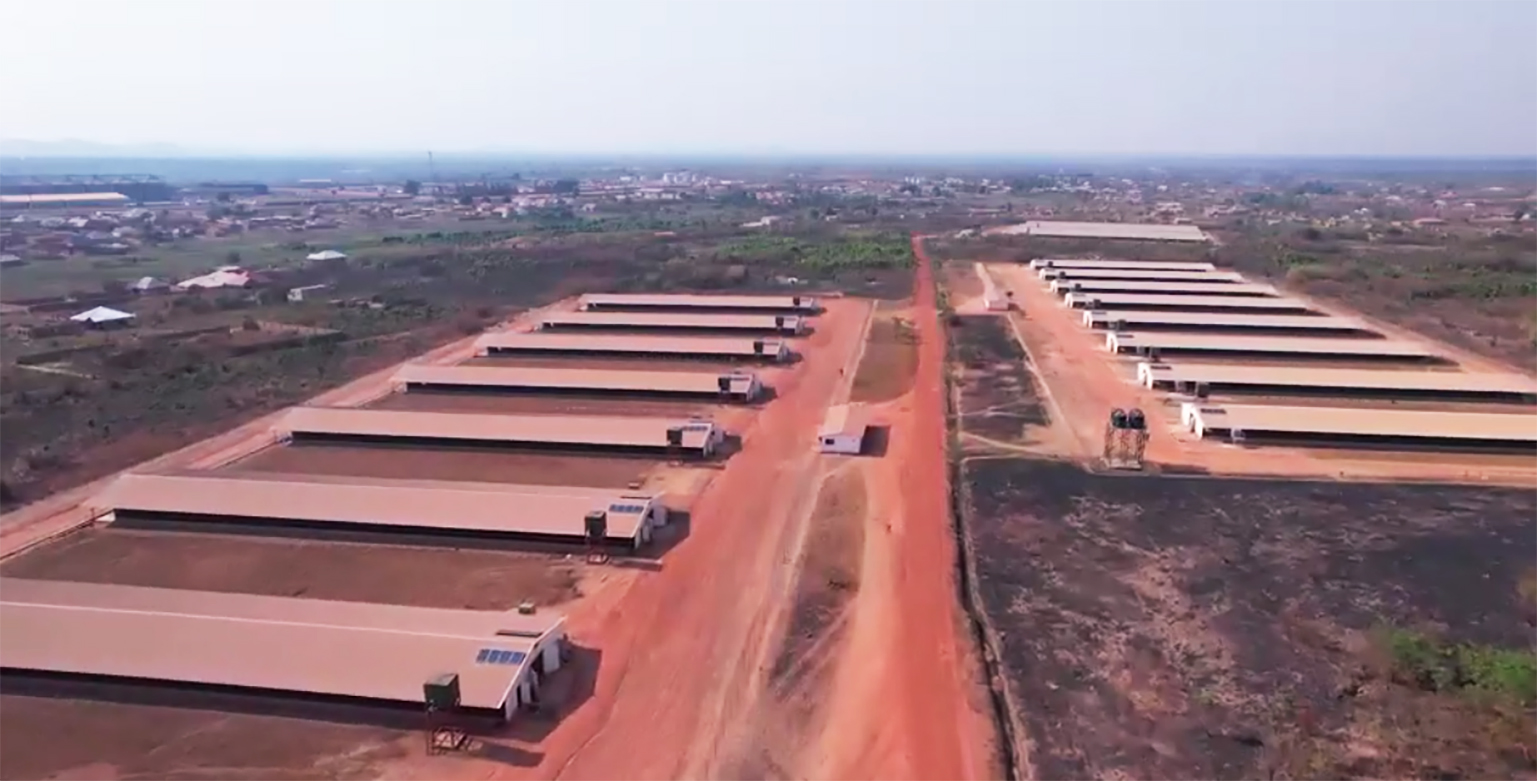 共创中非合作新标杆！Vinmart与j9集团国际站电气签订3个非洲光储项目